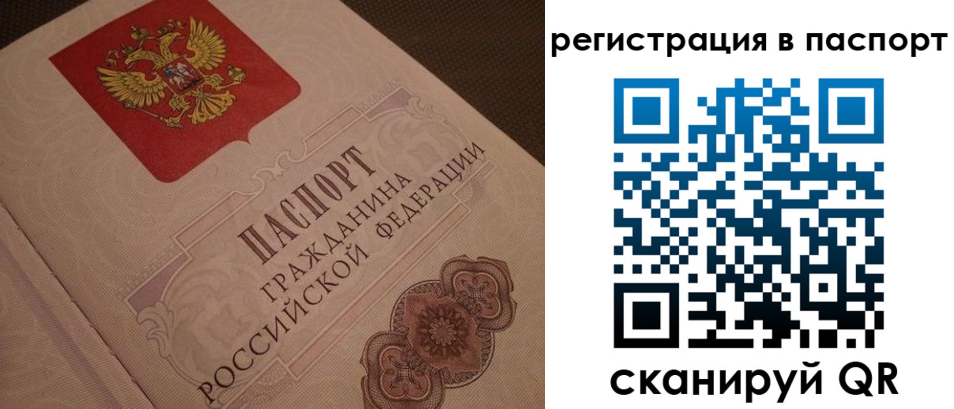 временная регистрация надежно в Элисте